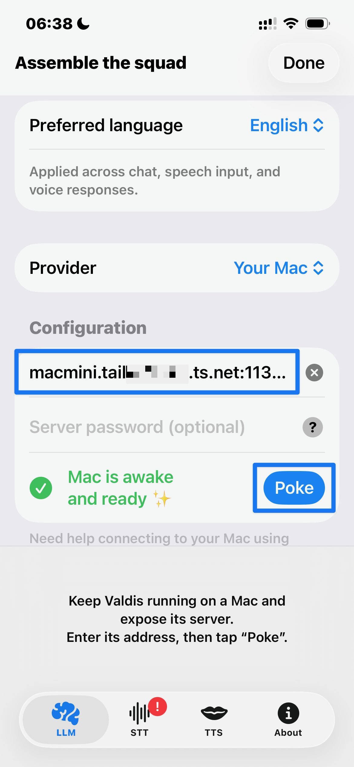 Paste the Serve endpoint into Valdis provider setup on iOS